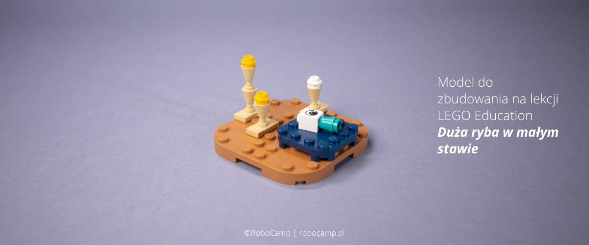 Model for a lesson by LEGO Education for Science kit: Big fish in a little pond